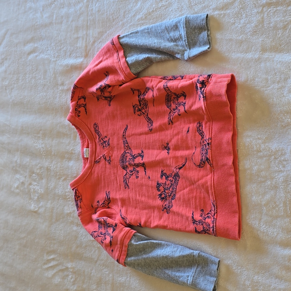 Carters Dinosaur‎ Long Sleeve Shirt Size 5T